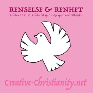 13 - Renselse og Renhet - eBok