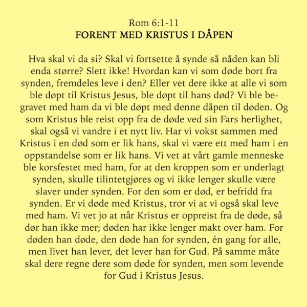 03 - Rettferdiggjørelse og Helliggjørelse - eBok - Image 5