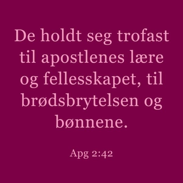 09 - Veien - eBok - Image 6