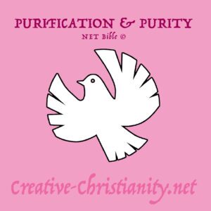 13 - Purification and Purity - eBook