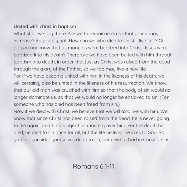 03 - Righteousness and Sanctification - eBook - Image 5