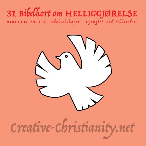 03 - Rettferdiggjørelse og Helliggjørelse - eBok - Image 2